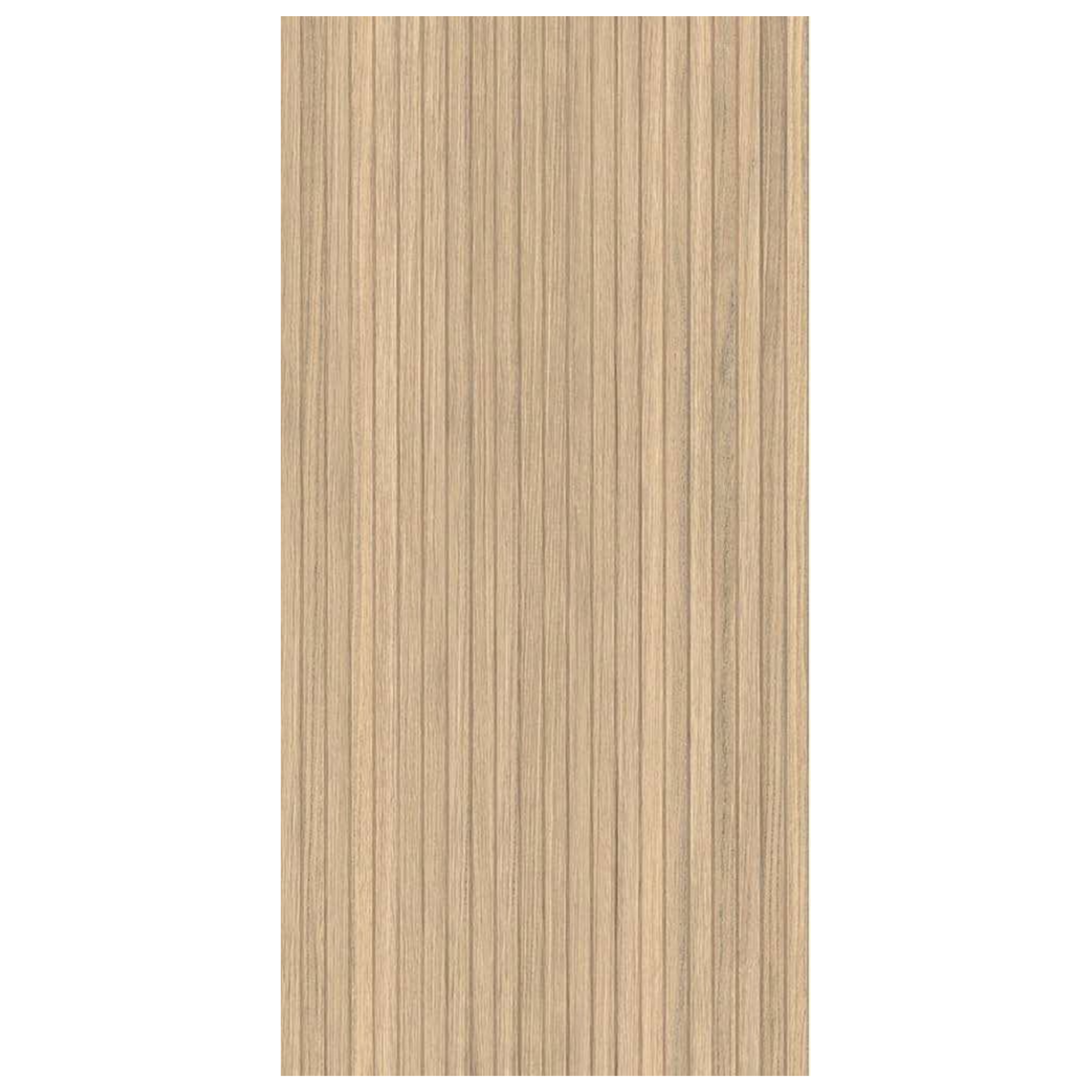 Ribbon Maple 24X48 Matte