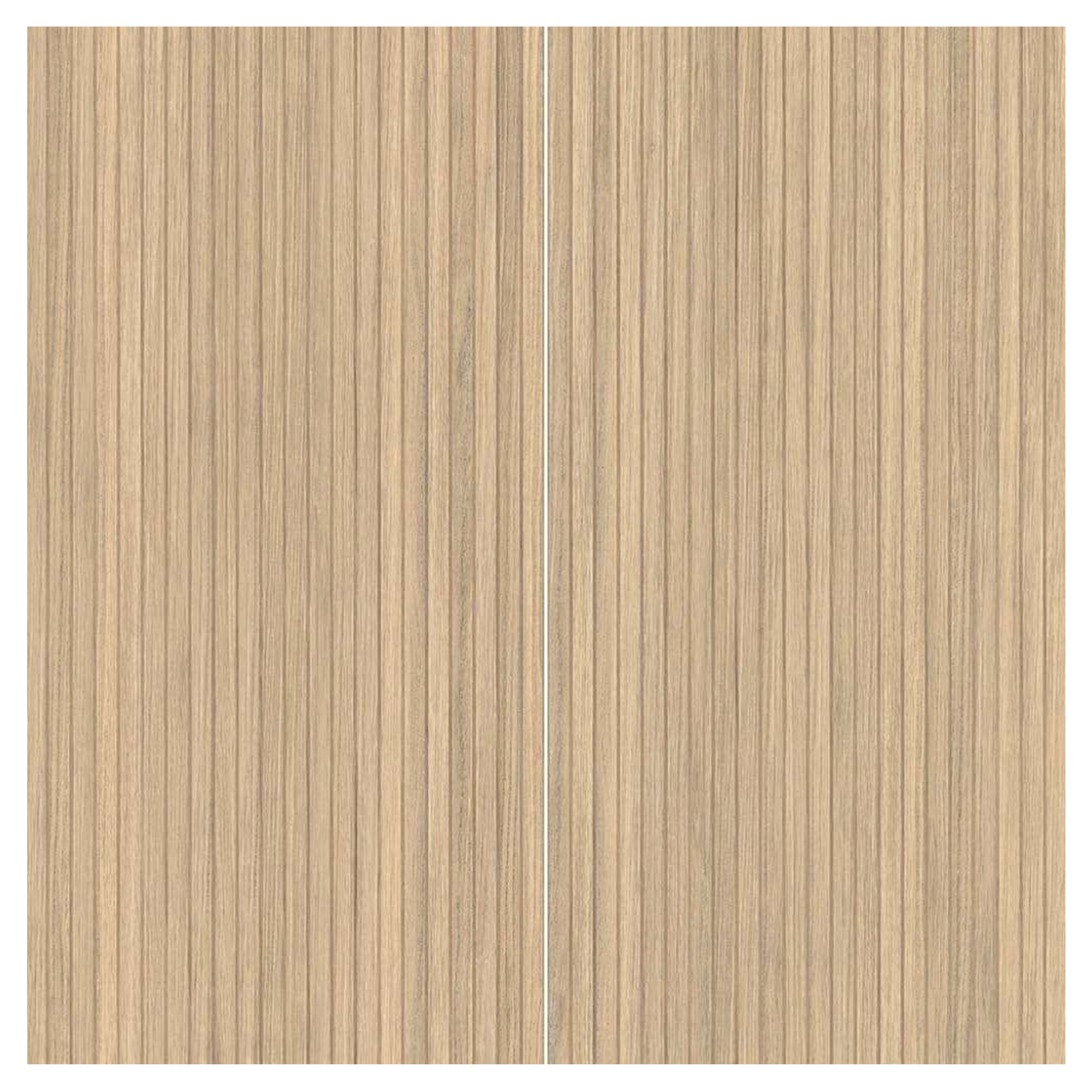 Ribbon Maple 24X48 Matte