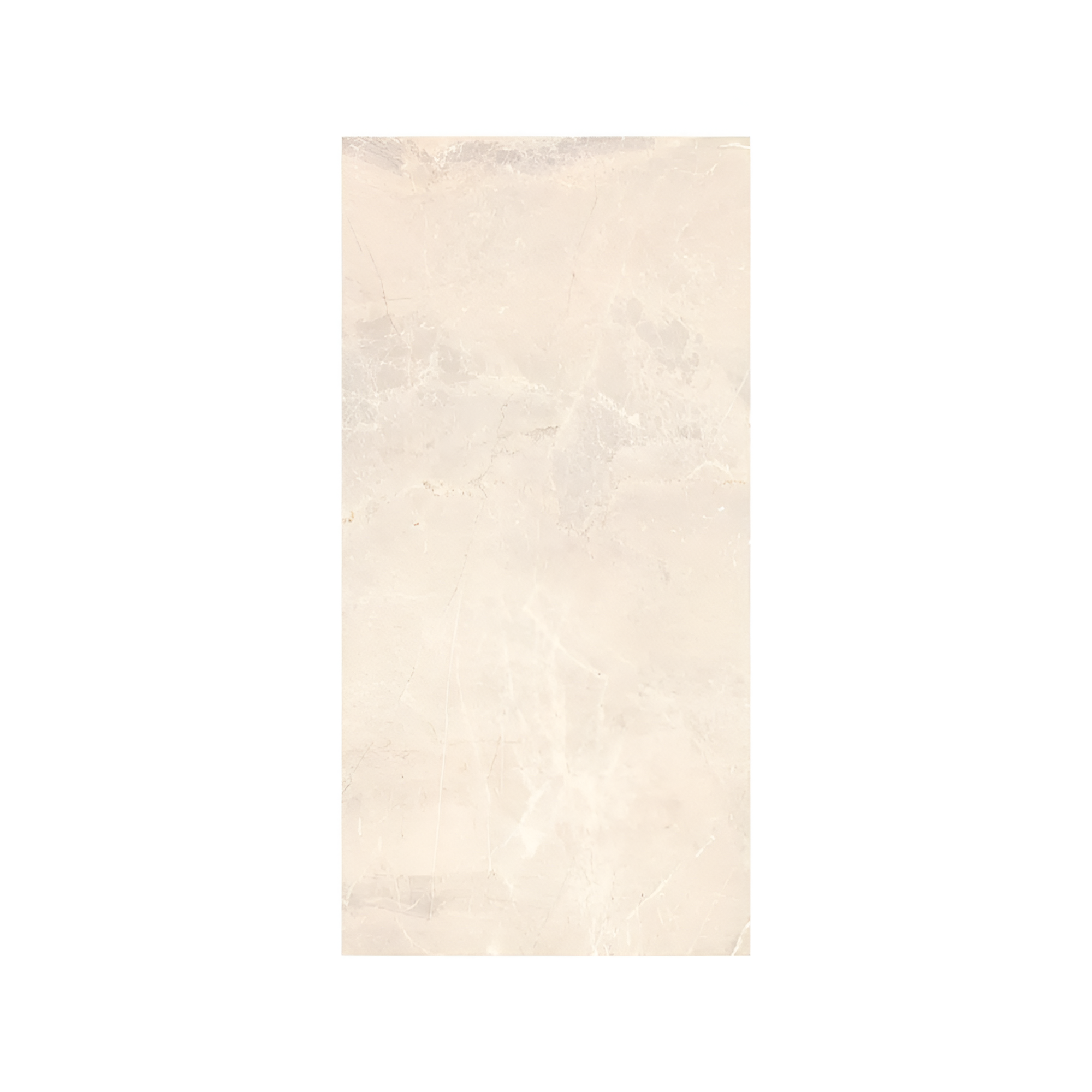 Silvia Ivory  12X24 Matte